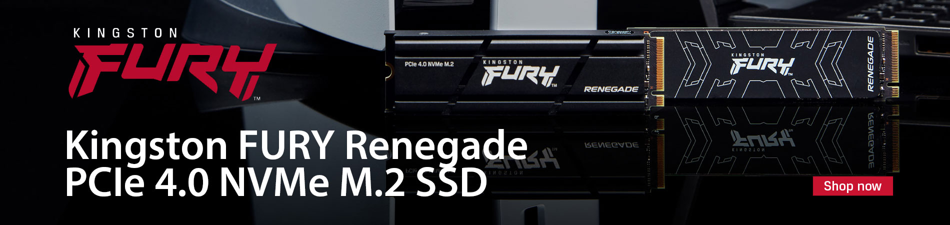 Kingston FURY Renegade SSD