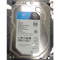 SEAGATE 0-ST1000VX013