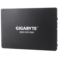 GIGABYTE GP-GSTFS31480GNTD