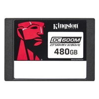 KINGSTON SEDC600M/480G