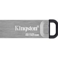 KINGSTON DTKN/512GB