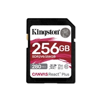 KINGSTON SDR2V6/256GB