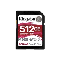 KINGSTON SDR2V6/512GB