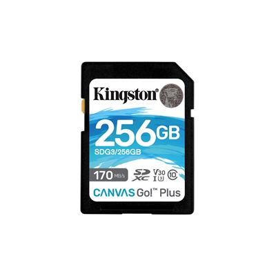 SDKIN-SDCG3256GB